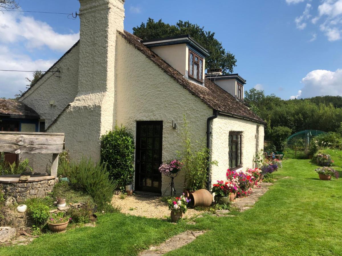 Verwood Chaseborough Farm B&B 외부 사진