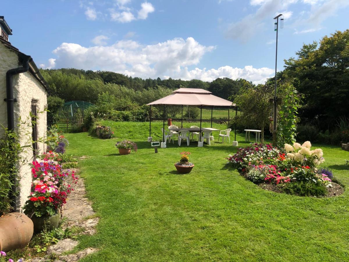 Verwood Chaseborough Farm B&B 외부 사진