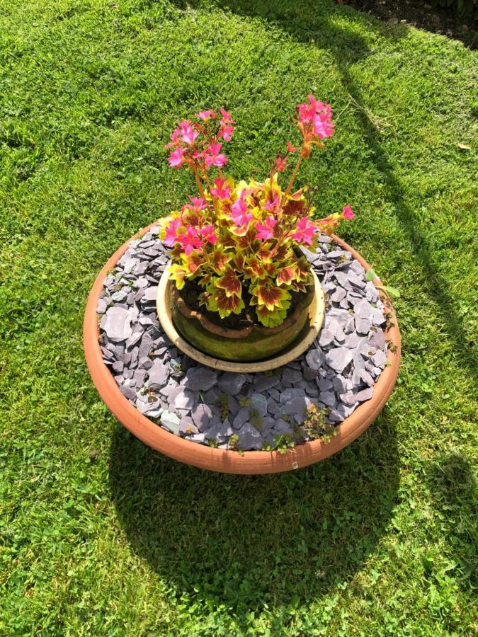Verwood Chaseborough Farm B&B 외부 사진