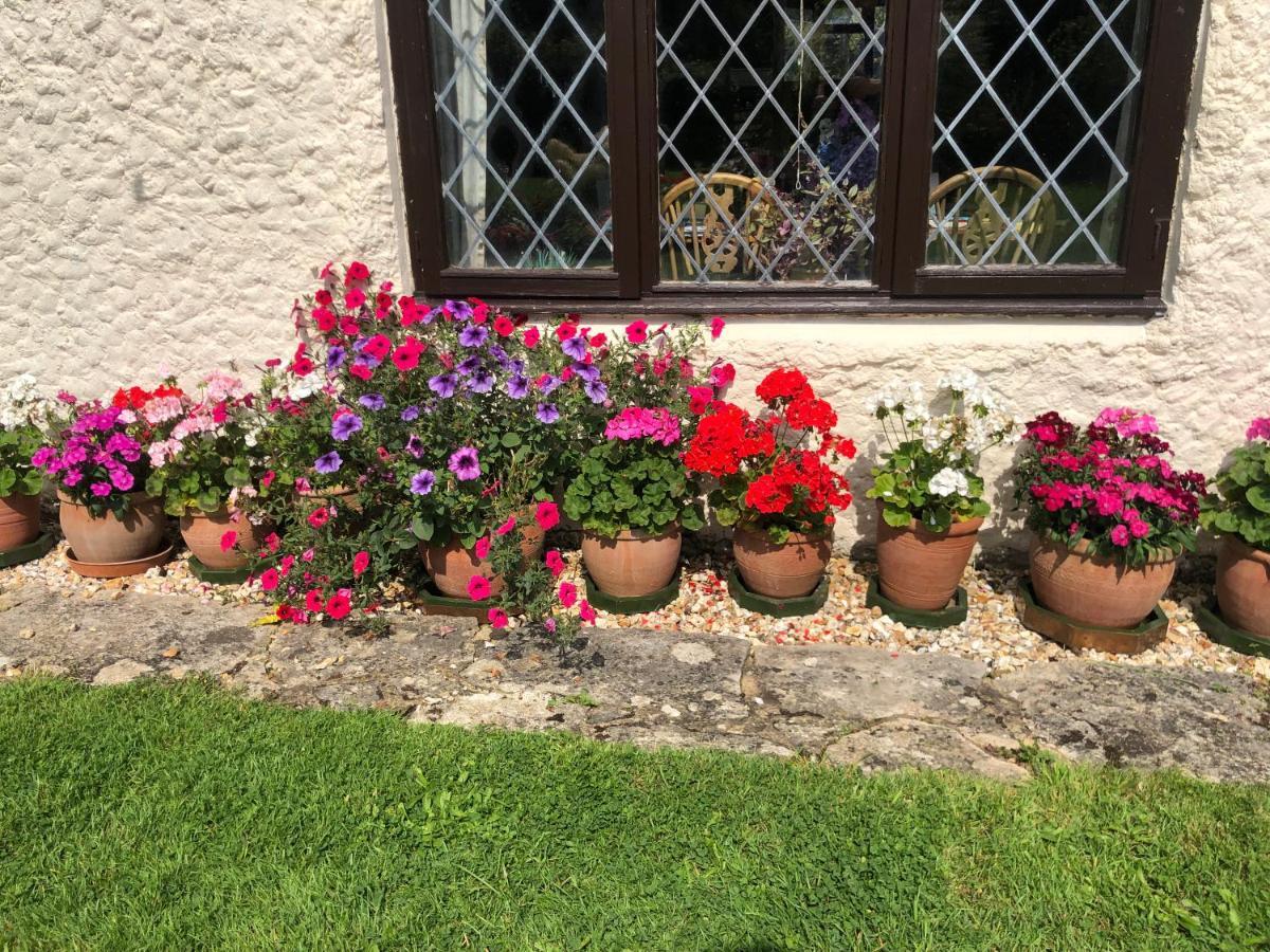 Verwood Chaseborough Farm B&B 외부 사진