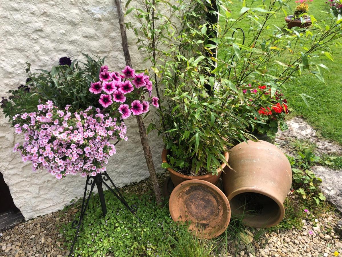 Verwood Chaseborough Farm B&B 외부 사진